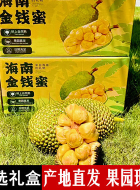送礼海南蜜榴莲蜜精品保亭金钱蜜