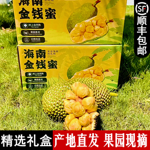 海南保亭金钱蜜榴莲蜜精品礼盒新鲜热带水果软糯湿苞小菠萝蜜顺丰