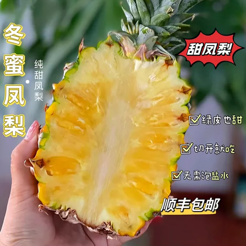 海南冬蜜凤梨树上熟9斤大果牛奶凤梨甜蜜蜜台农13号纯甜无酸顺丰