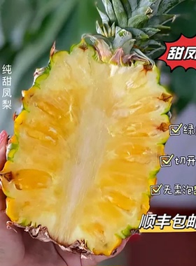 海南冬蜜凤梨树上熟9斤大果牛奶凤梨甜蜜蜜台农13号纯甜无酸顺丰