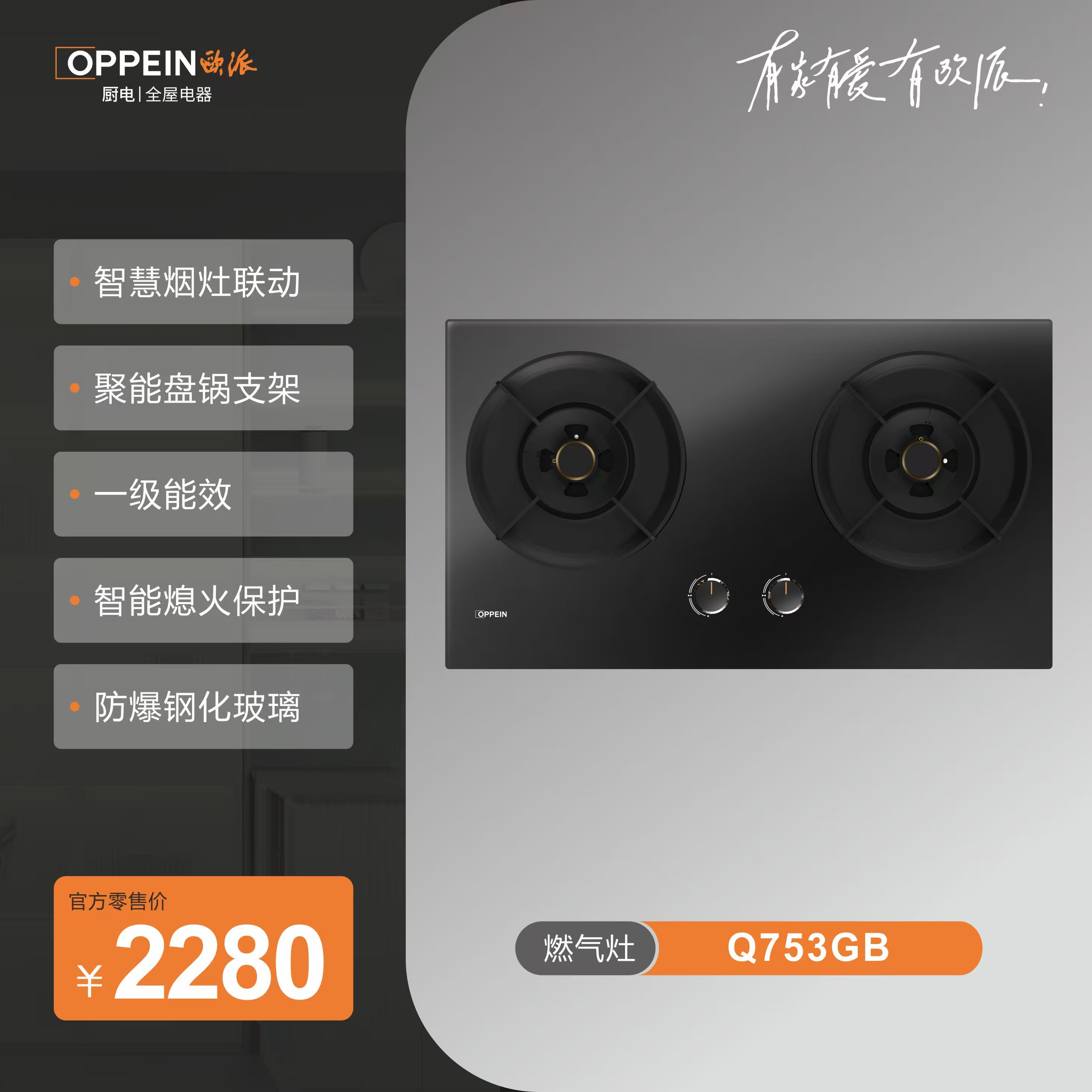 【线下同款】欧派燃气灶双灶家用嵌入式天然气灶具一级能效Q753GB图片