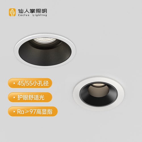 仙人掌照明小射灯满天星客厅