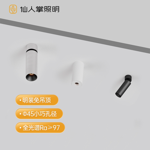 仙人掌照明45mm明装射灯