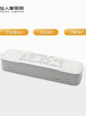 仙人掌照明灯带变压器30W 75W 150W伊戈尔驱动LED灯具电源适配器