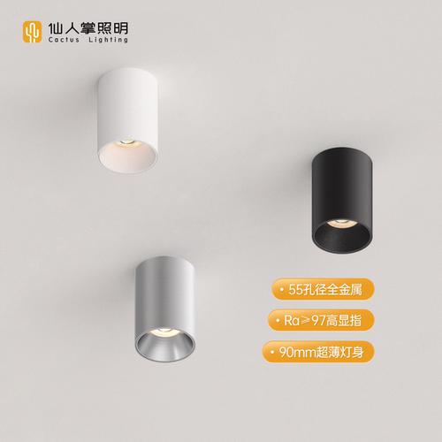 仙人掌照明圆形迷你led明装射灯