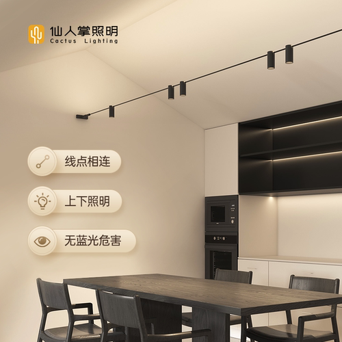 仙人掌照明天际轨道线性灯