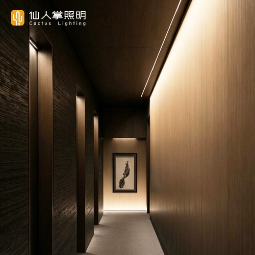 仙人掌照明偏光洗墙明装线性灯