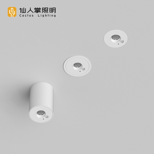 仙人掌照明嵌装过道玄关感应射灯