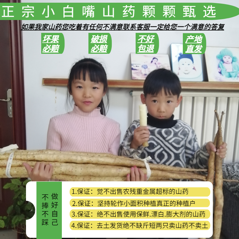 老农自种正宗轮作河北小白嘴山药小白嘴白山药铁棍山药怀山药粉糯