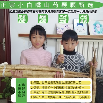 蠡县正宗小白嘴山药农家自种粉糯
