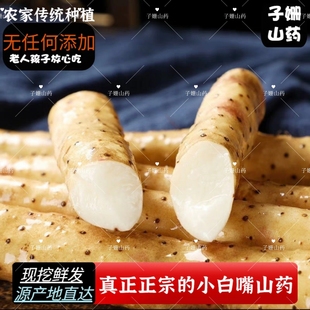 蠡县正宗小白嘴山药粉糯新鲜5斤铁棍山药铁杆怀山药老农自种直发