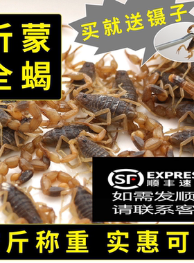 按斤称沂蒙山入药煲汤包邮全蝎