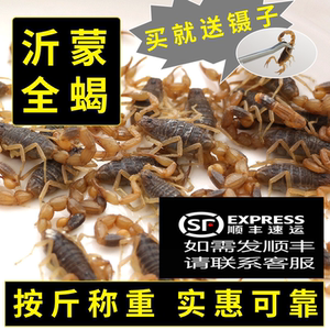 按斤称沂蒙山入药煲汤包邮全蝎