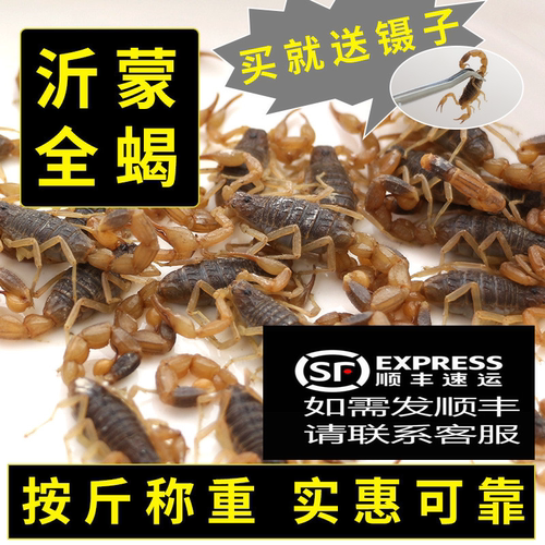 按斤称沂蒙山入药煲汤包邮全蝎
