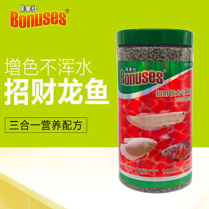 热带龙鱼大型鱼保拿仕
