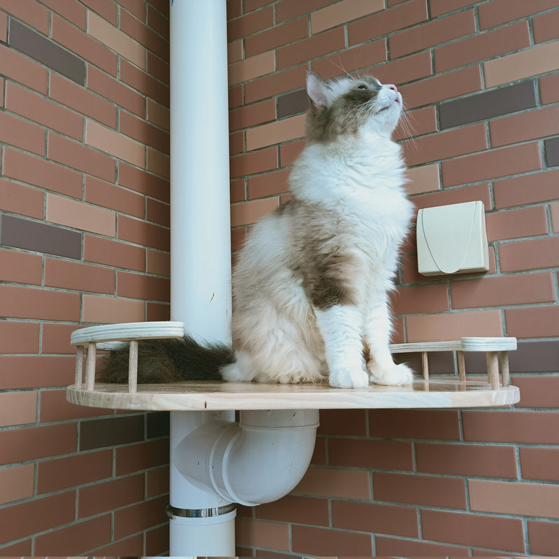阳台PVC排水管改造猫爬架自制diy材料配件猫跳台藤编猫窝配垫子