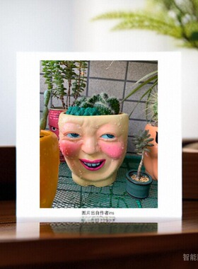 日本shinobu表情花坛多肉植物花盆雕像景观园林装饰人脸摆件 大号