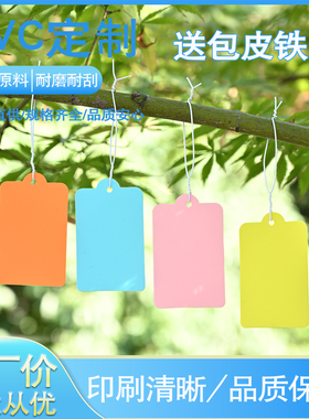 现货空白PVC卡片彩色磨砂材质防水耐撕可重复使用塑料PVC吊牌标签