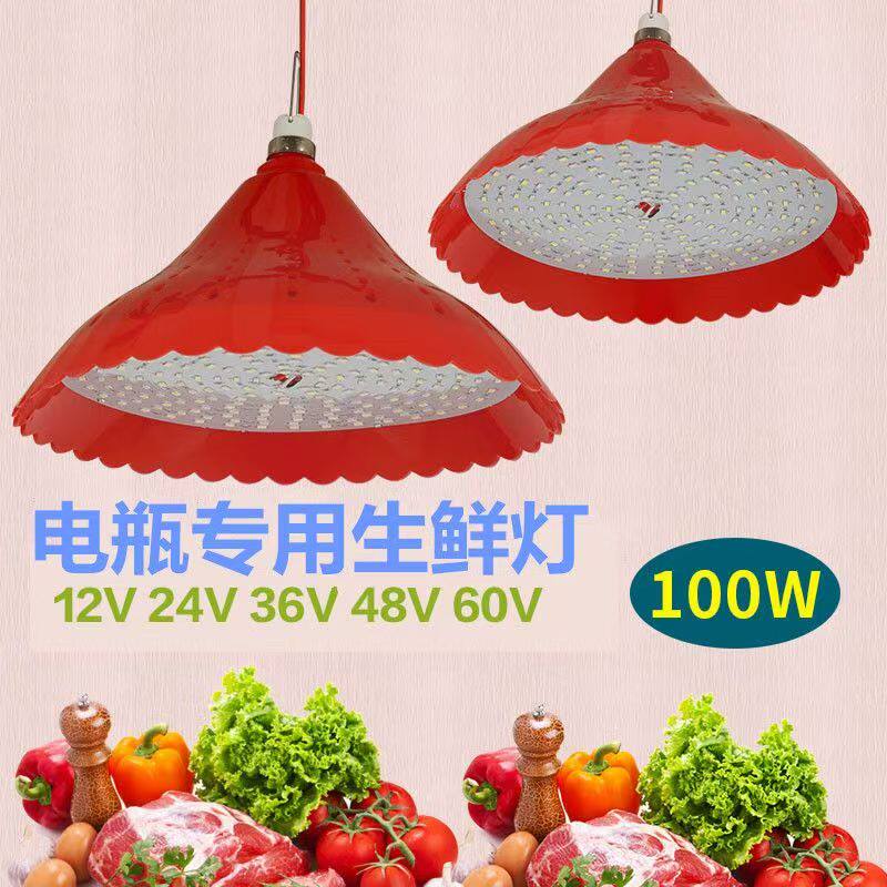 电瓶生鲜灯12v36v60vLED低压夜市摆地摊猪肉水果卤菜海鲜熟食灯泡