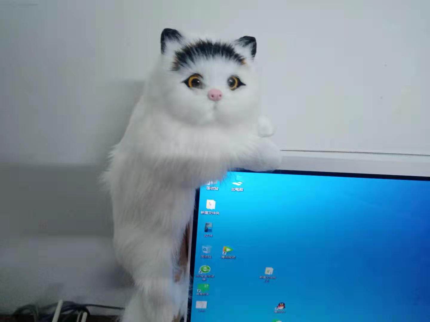 冰箱静态仿真动物小猫模型