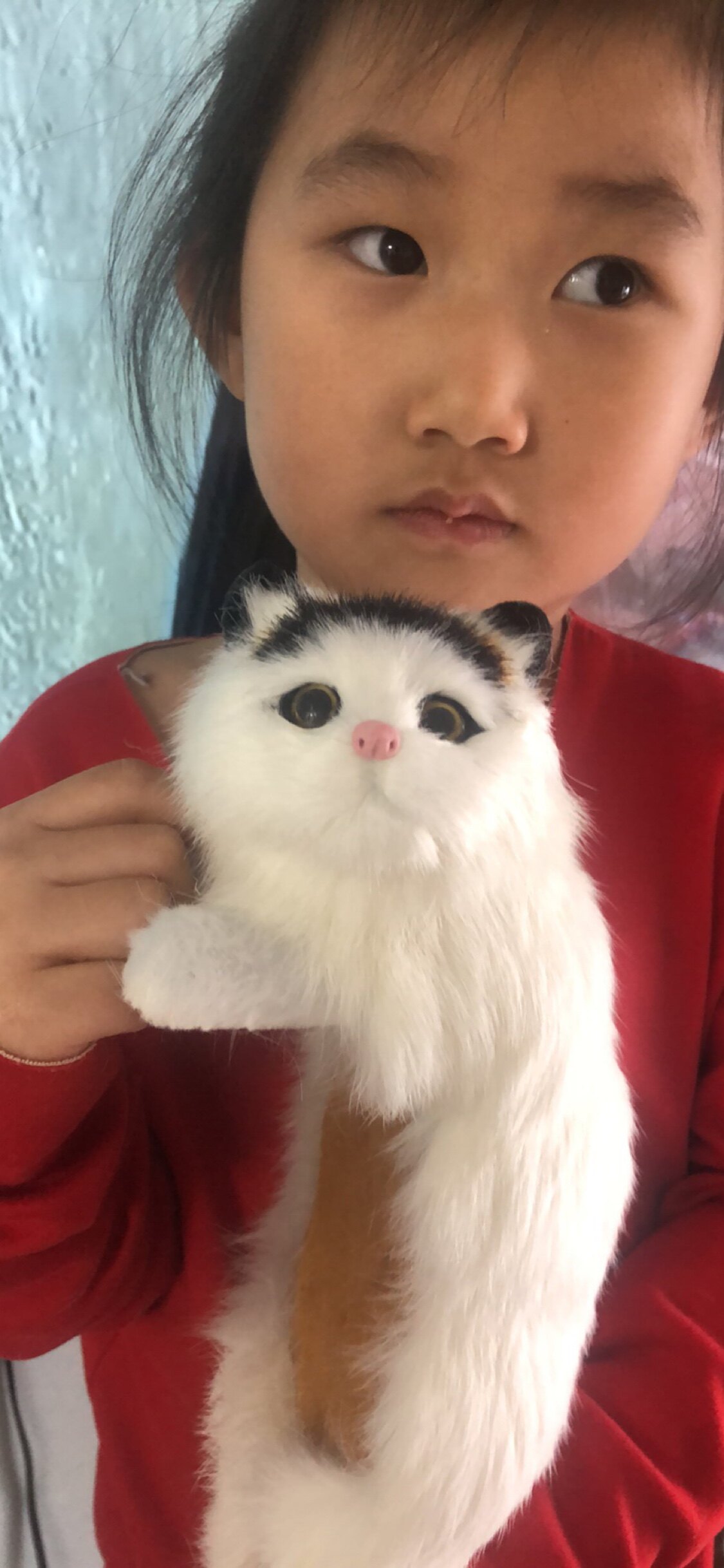 电视机挂猫仿真猫咪毛绒玩具摆件仿真/动物玩偶