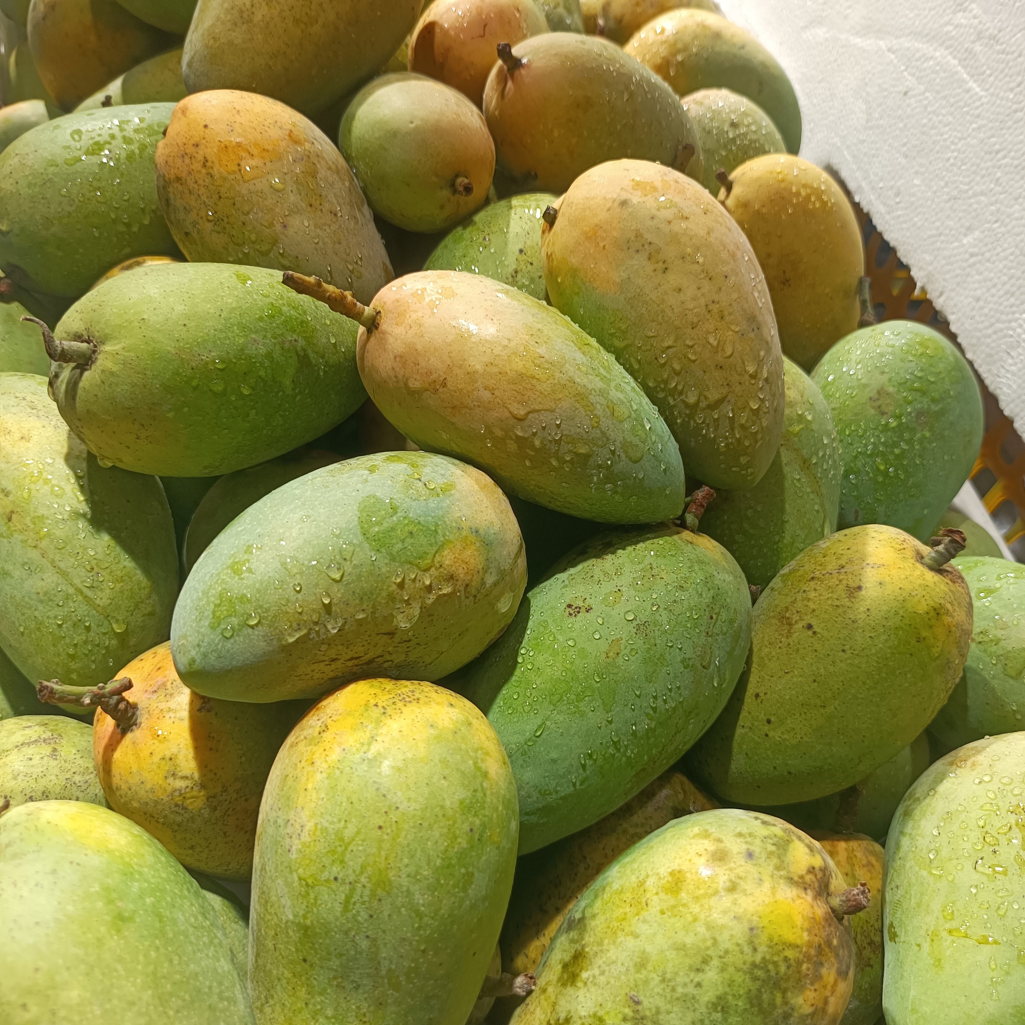 正宗海南小台农芒果新鲜水果应季现摘现发皮薄肉厚多汁甜爽口2025