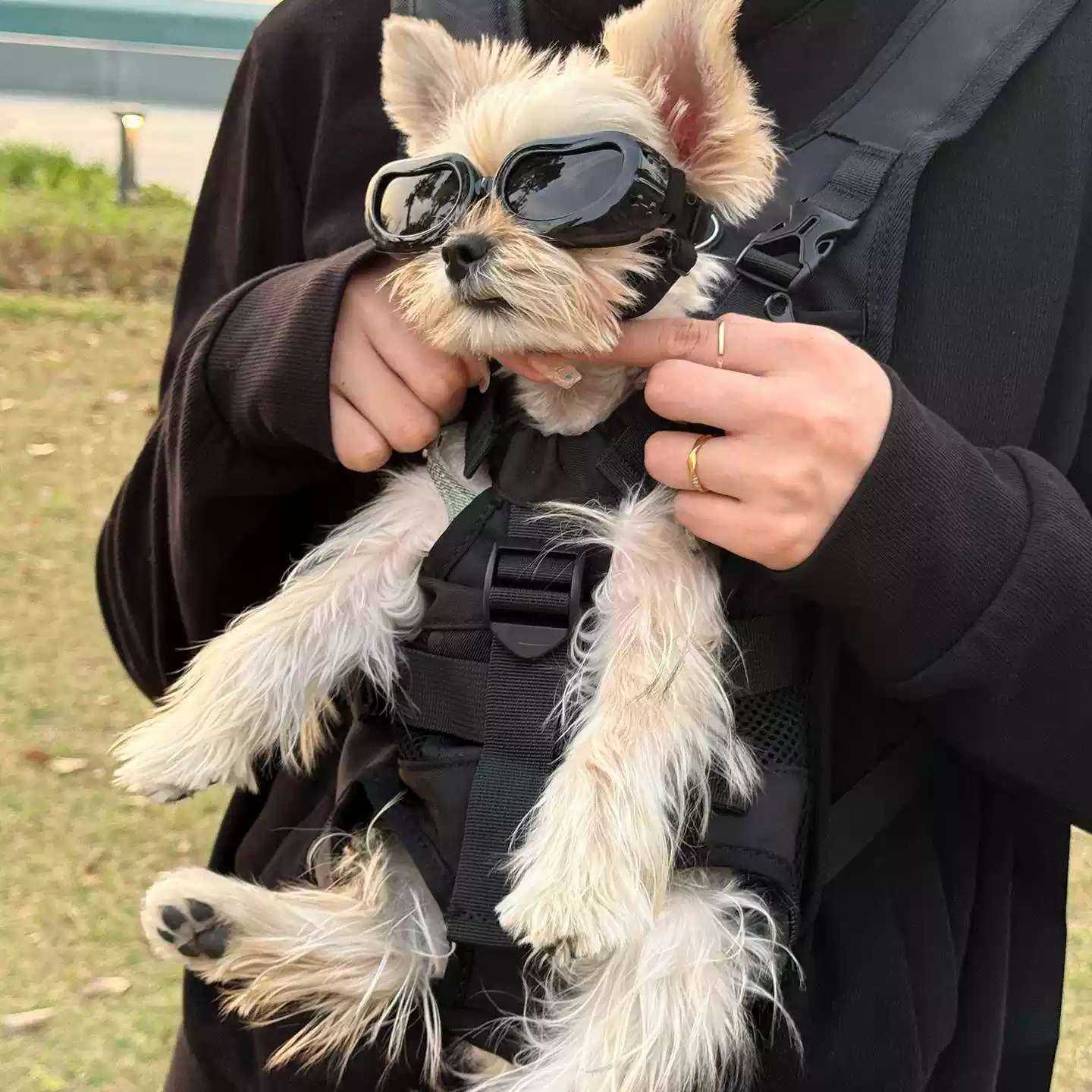 狗狗专用骑行背带背包适配约克夏