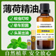 天然薄荷精油单方纯植物提神醒脑控油香薰滚珠按摩驱虫驱鼠喷雾