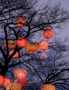 户外防水防晒新春灯笼串室外古风院子氛围布置树上挂饰彩色圆灯笼