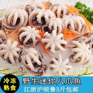 新鲜海鲜水产迷你八爪鱼鲜活短腿小八抓鱼熟冻即食小章鱼火锅食材