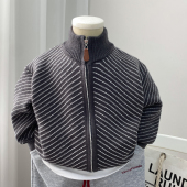 男孩洋气中童小童 外套半高领开衫 男童毛衣秋冬2026新款 儿童针织衫