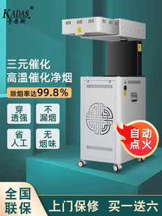 卡丹斯智能扶阳无烟透灸仪雷明火艾灸仪一体机美容院家用器具热敷