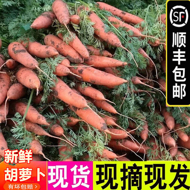顺丰包邮新鲜嫩甜胡萝卜农家蔬菜
