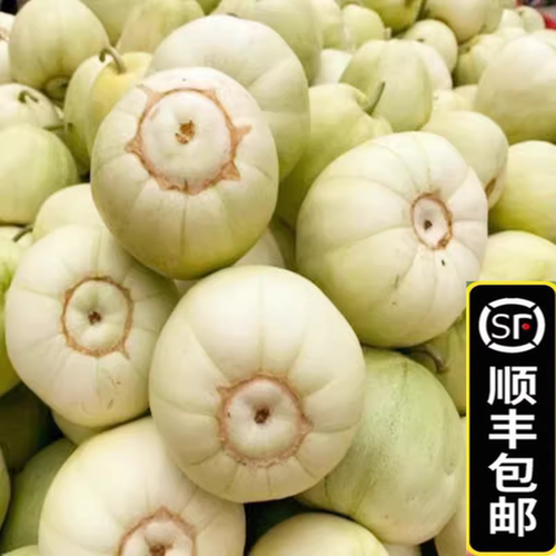 顺丰头茬甜瓜新鲜小白香瓜泥梨瓜