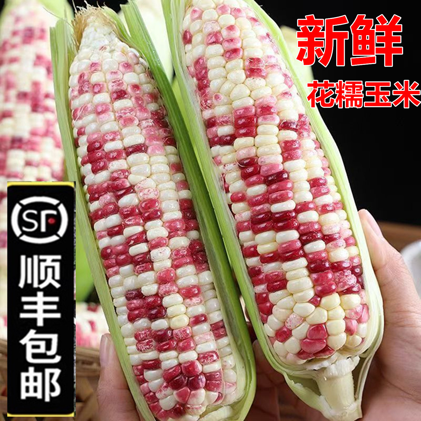 顺丰新鲜花糯玉米甜糯玉米棒苞谷