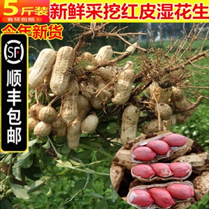 【顺丰包邮】5斤挖新鲜花生湿花生带泥花生壳红皮花生米可卤煮生