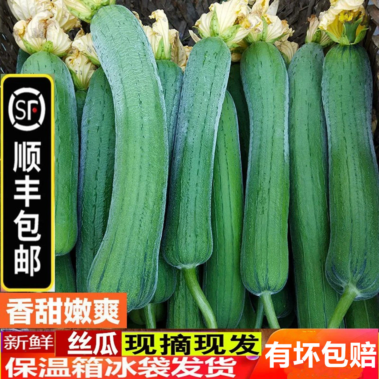【顺丰包邮】新鲜丝瓜肉丝瓜鲜嫩绿丝瓜长丝瓜湖北农家蔬菜1-5斤