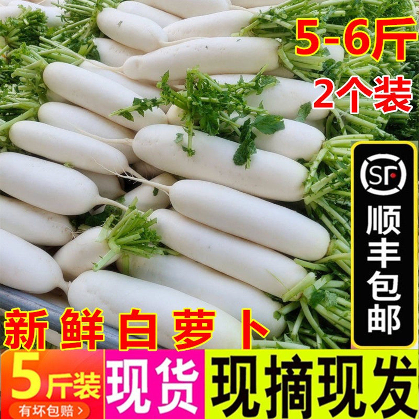 顺丰包邮5斤新鲜萝卜脆甜白皮罗卜农家现挖水果萝卜蔬菜腌菜泡菜,水产肉类/新鲜蔬果/熟食,萝卜/胡萝卜,淘宝优惠券,粉丝福利购,淘宝优惠卷