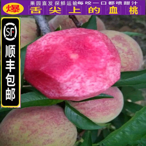 顺丰新鲜血桃脆甜雪桃子应季水果