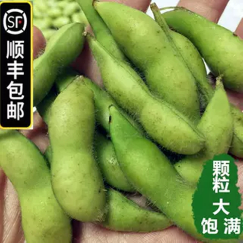 顺丰新鲜带壳毛豆饱满嫩甜青豆子