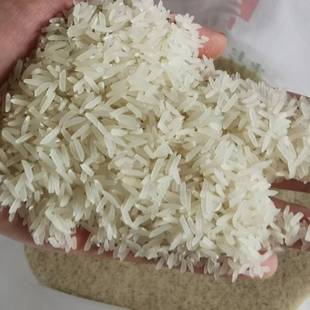 自家种高山大米2025年新米59.9元 10斤包邮