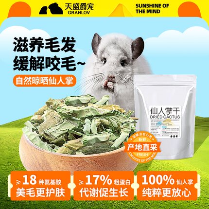 仙人掌干防龙猫美咬毛微量元素清热去火磨牙健康营养零辅食