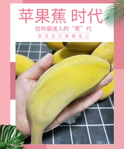 果园直销福建无添加剂自然熟香蕉