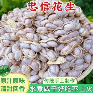 河源忠信花生水煮日晒咸脆红泥花生皇晒花生五香特产晒干带壳咸香