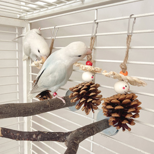 天然中小型虎皮牡丹鹦鹉玩具啃咬磨牙磨嘴松果小鸟笼挂件装饰造景