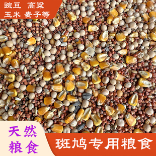 斑鸠粮食专用饲料幼鸟粮鸟食物天然营养混合型野生珠颈野鸽子用品