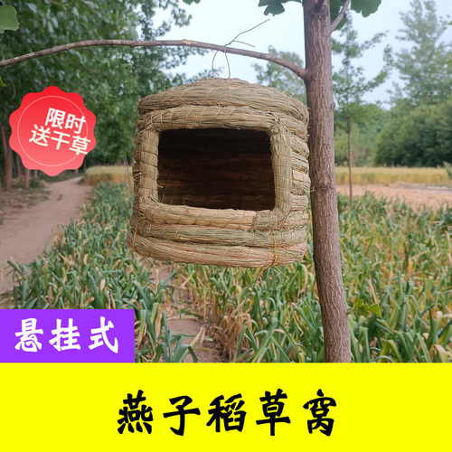 燕子鸟窝鸟巢草窝保暖