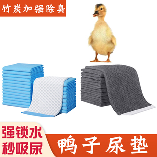 小鸭子专用笼子除臭垫料专用尿不湿尿垫柯尔鸭柯达鸭尿片宠物用品
