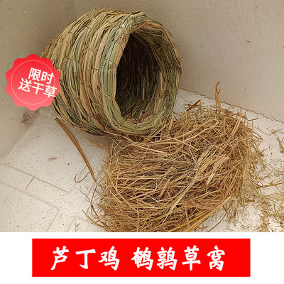 宠物芦丁鸡草窝躲避用品用具