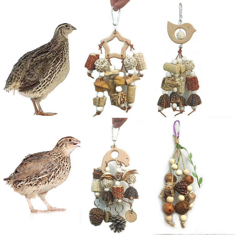 芦丁鸡专用笼子玩具鹌鹑啃咬造景